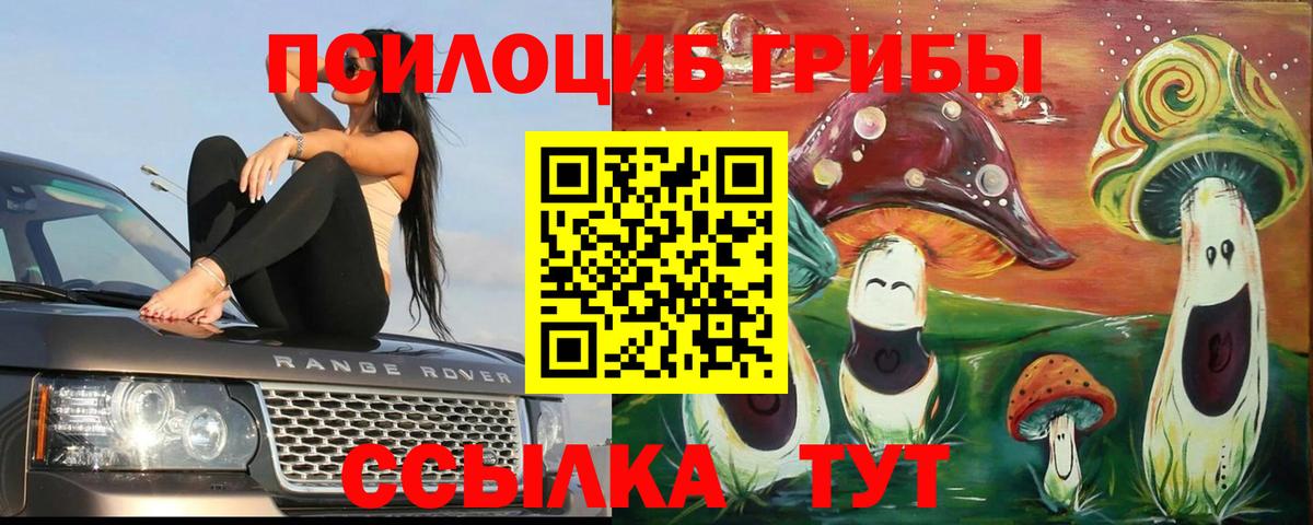 купить наркотик  Вход с VPN  Сухой Лог  Галлюциногенные грибы MAGIC MUSHROOMS 